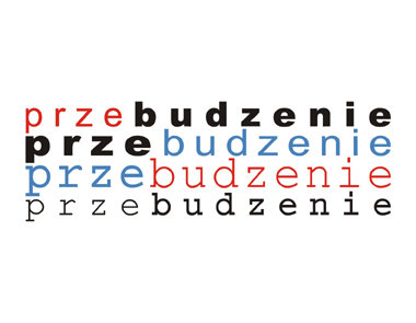 Elbląg, Instalacja Grzegorza Drozda w ramach „Przebudzenia”