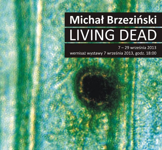 Elbląg, Michał Brzeziński – Living Dead Elbląg, Michał Brzeziński – Living Dead