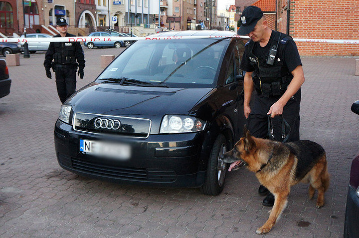 Elbląg, Policjanci z psami służbowymi sprawdzali także teren wokół elbląskiego oddziału Dialogu