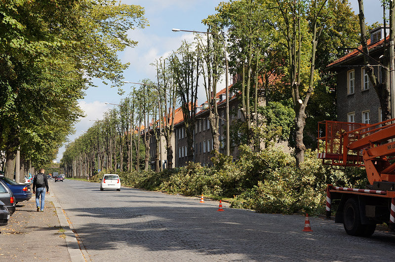 Elbląg, Tak ul. Królewiecka wyglądała jeszcze kilka dni temu