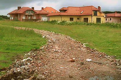 Elbląg, Ptasie ulice Elbląg, Ptasie ulice