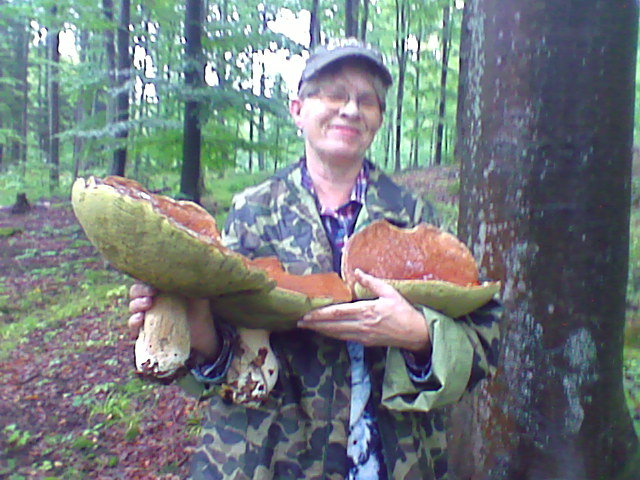 Elbląg, Taaakie grzyby Elbląg, Taaakie grzyby