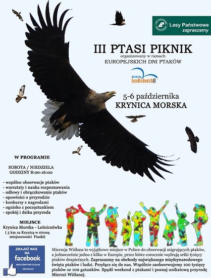 Elbląg, Kibicuj migrującym ptakom! Elbląg, Kibicuj migrującym ptakom!