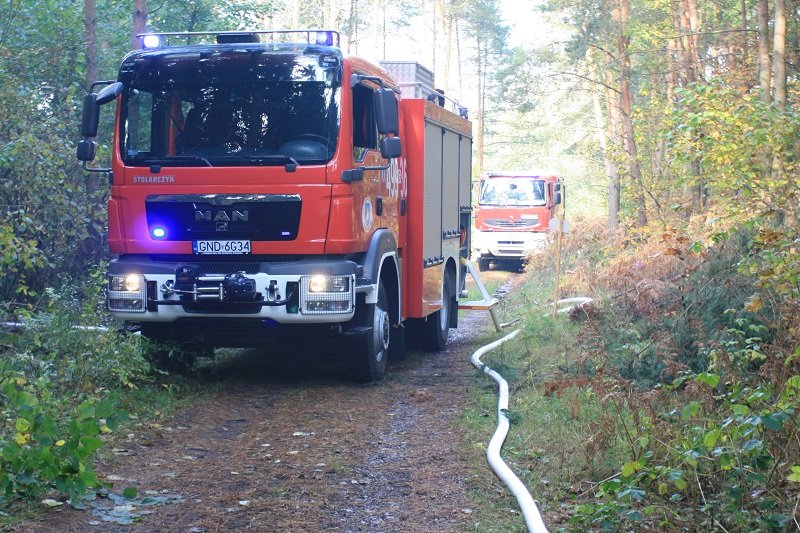Elbląg, Manewry strażackie w Nadleśnictwie Elbląg Elbląg, Manewry strażackie w Nadleśnictwie Elbląg