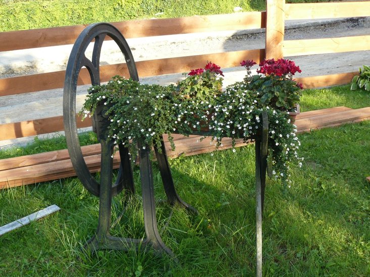 Elbląg, Mój jest ten kawałek ogrodu Elbląg, Mój jest ten kawałek ogrodu