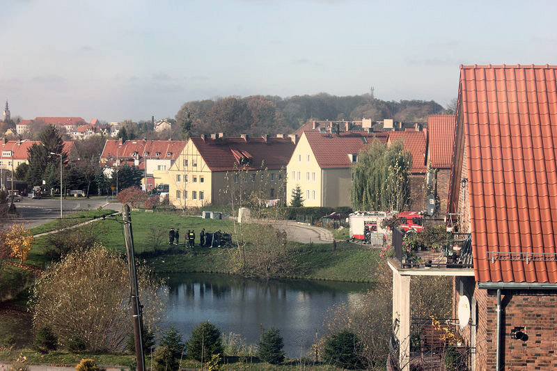 Elbląg, Zwłoki na Dąbrowskiego Elbląg, Zwłoki na Dąbrowskiego