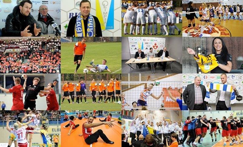 Elbląg, Sportowe podsumowanie roku 2013