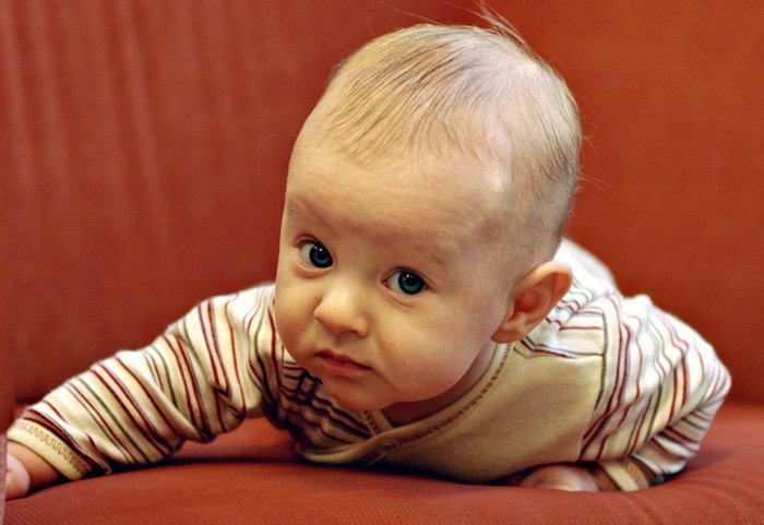 Elbląg, Rządzą Zuzie i Kubusie