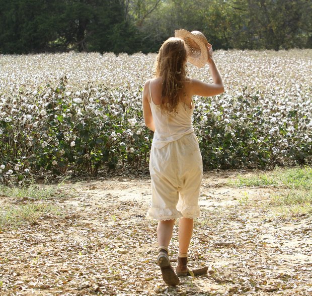 materiały prasowe dystrybutora