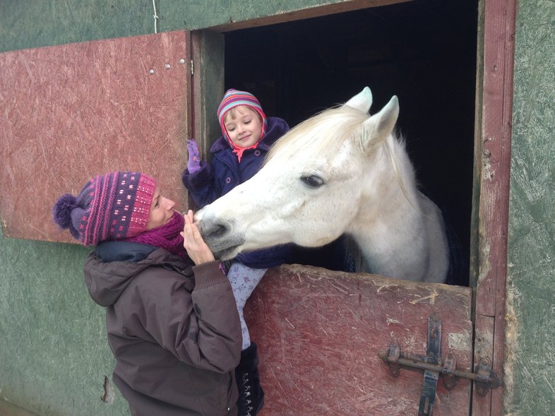 Elbląg, Dni otwarte w Stajni Nowakowo
