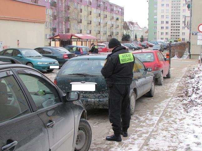 Elbląg, Parkujmy z głową Elbląg, Parkujmy z głową