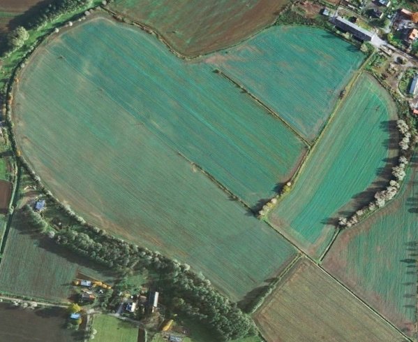 Elbląg, źródło: Google Earth