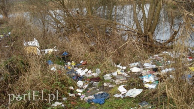 Elbląg, Dzikie wysypiska śmieci to wciąż problem