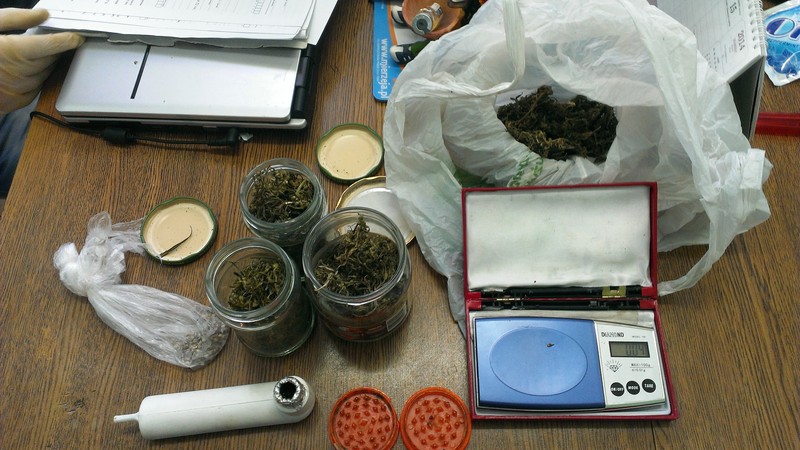 Elbląg, Odpowie za posiadanie marihuany