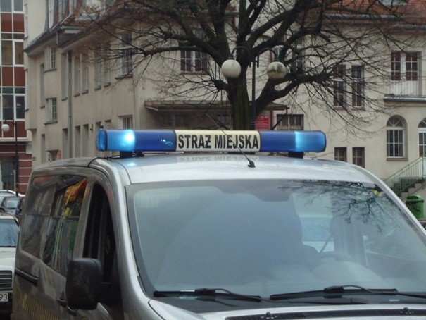 Elbląg, Straż Miejska przypomina właścicielom psów o ciążących na nich obowiązkach Elbląg, Straż Miejska przypomina właścicielom psów o ciążących na nich obowiązkach