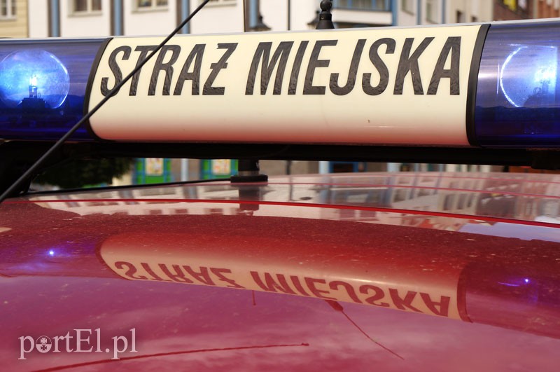 Elbląg, Strażnicy miejscy obezwładnili agresywnego 19-latka, który groził nożem pracownikom MOPS Elbląg, Strażnicy miejscy obezwładnili agresywnego 19-latka, który groził nożem pracownikom MOPS