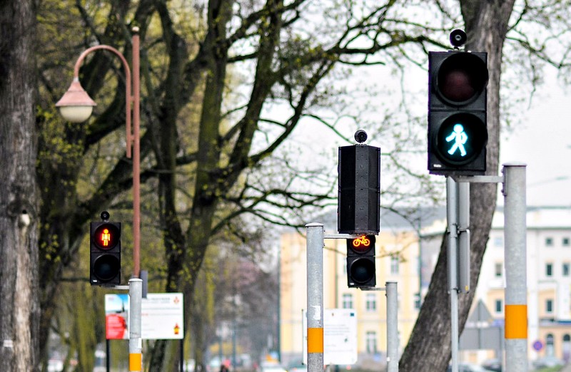 Elbląg, Zielone światło dla pieszego Elbląg, Zielone światło dla pieszego