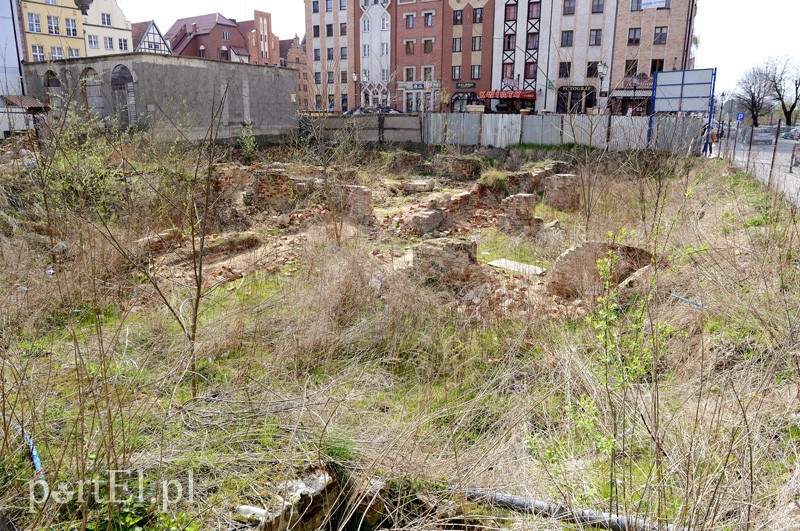 Elbląg, Na tej działce ma powstać kamienica z fasadą z zieleni