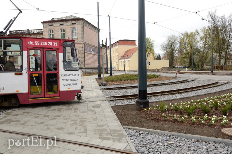 Elbląg, Kto tu ma pierwszeństwo?