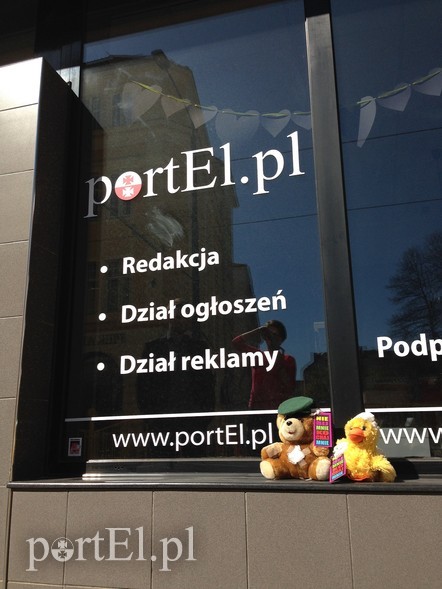 Elbląg, Pluszaki, które siedziały przed siedzibą naszej redakcji bardzo szybko znalazły nowych przyjaciół Elbląg, Pluszaki, które siedziały przed siedzibą naszej redakcji bardzo szybko znalazły nowych przyjaciół
