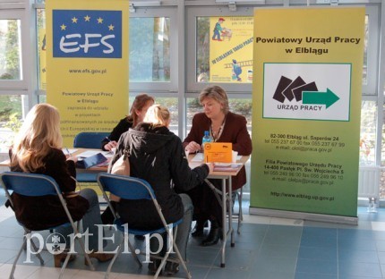 Elbląg, Powiatowy Urząd Pracy czeka rewolucja Elbląg, Powiatowy Urząd Pracy czeka rewolucja
