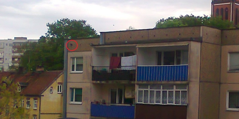 Elbląg, Zróbcie coś z tym! - apelował jeden z naszych Czytelników. Na nadesłanym zdjęciu zaznaczył otwory, gdzie zamontowano siatki Elbląg, Zróbcie coś z tym! - apelował jeden z naszych Czytelników. Na nadesłanym zdjęciu zaznaczył otwory, gdzie zamontowano siatki