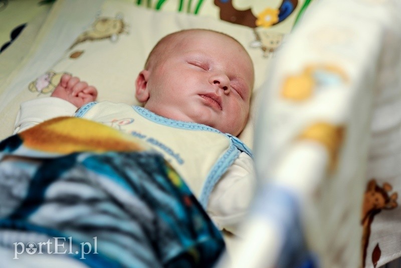 Elbląg, Urodzony pod szczęśliwą siódemką Elbląg, Urodzony pod szczęśliwą siódemką