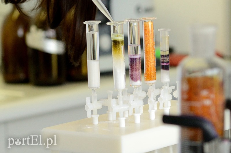 Elbląg, Główną atrakcją pikniku będą pokazy laboratoryjne Elbląg, Główną atrakcją pikniku będą pokazy laboratoryjne