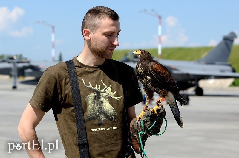 Elbląg, Michał Bień i Dygnitarz