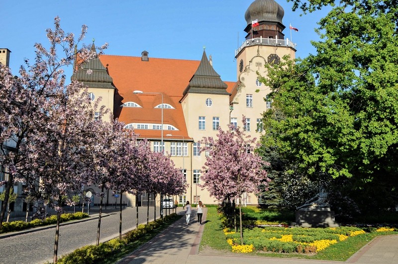 Elbląg, Władze miasta zapewniają, że nie są przeciwko wolności wypowiedzi artystów