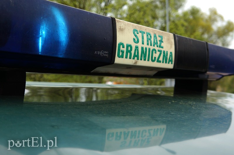 Elbląg, Udaremniona próba nielegalnego przekroczenia granicy Elbląg, Udaremniona próba nielegalnego przekroczenia granicy