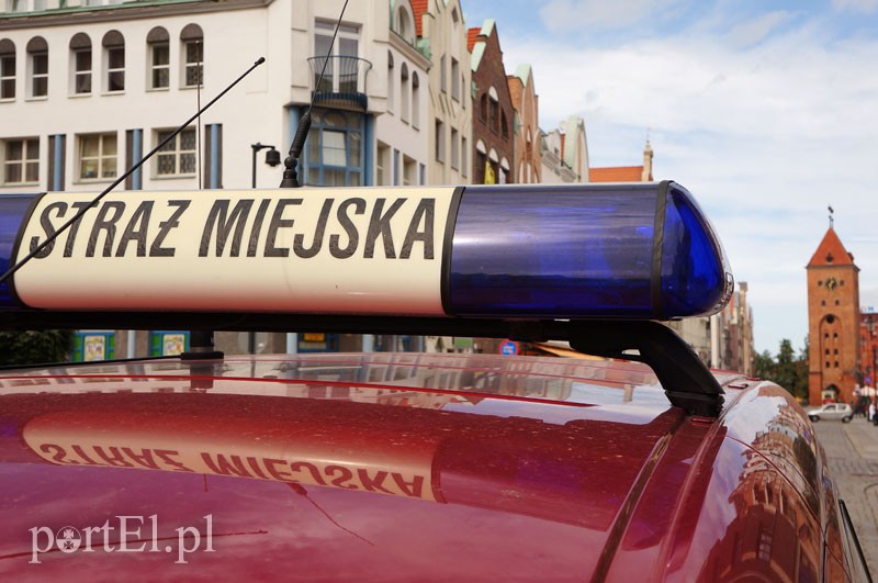 Elbląg, Likwidować czy nie likwidować? Elbląg, Likwidować czy nie likwidować?