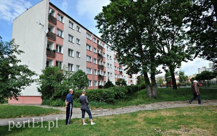 Elbląg, Mieszkańcy chcą, żeby topole zostały wycięte, bo według nich bardziej szkodzą niż pomagają Elbląg, Mieszkańcy chcą, żeby topole zostały wycięte, bo według nich bardziej szkodzą niż pomagają