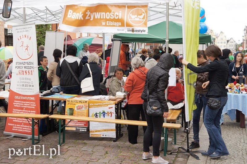 Elbląg, Dziś na Starym Rynku zaprezentowało się 18 organizacji pozarządowych Elbląg, Dziś na Starym Rynku zaprezentowało się 18 organizacji pozarządowych
