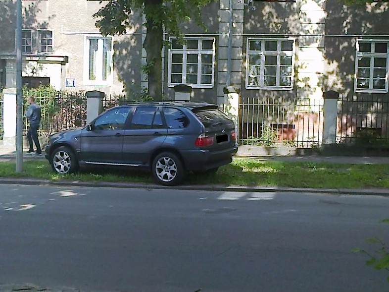 Elbląg, "Łosie na drodze". Kolejne zdjęcia od naszych Czytelników