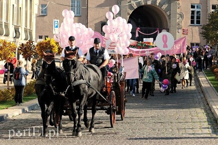 Elbląg, Elbląskie Stowarzyszenie Amazonek co roku organizuje marsz "Kocham Cię życie", a teraz zaprasza na konferencję