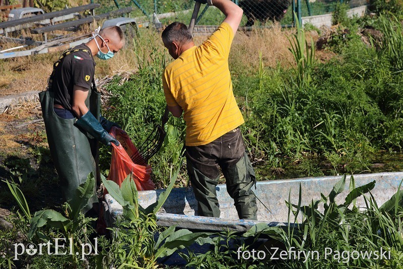 Elbląg, Po katastrofie ekologicznej: Sery ICC Pasłęk wstrzymają produkcję?