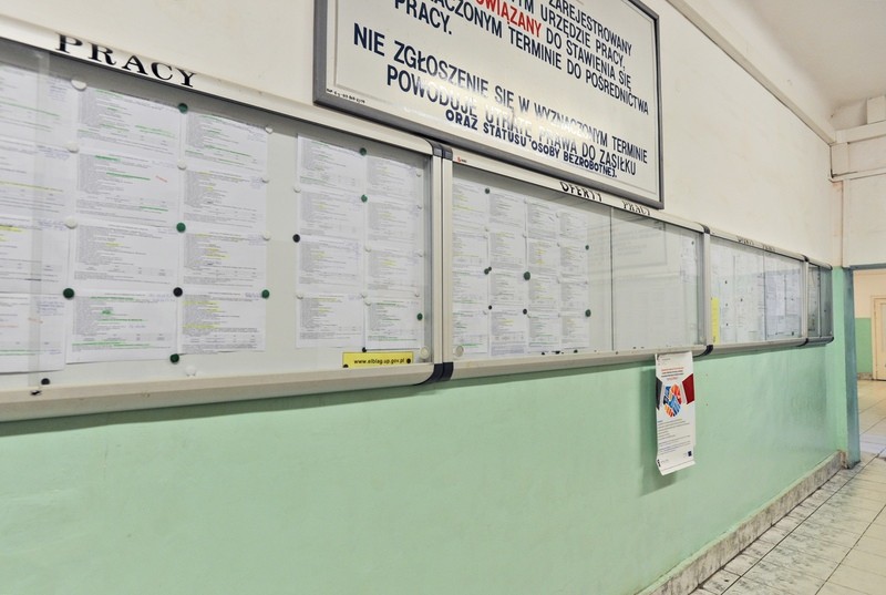 Elbląg, Sprawdź aktualne oferty pracy Elbląg, Sprawdź aktualne oferty pracy