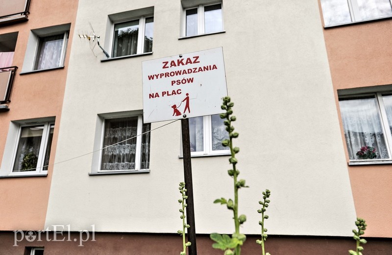 Elbląg, Te znaki mają dyscyplinować mieszkańców Elbląg, Te znaki mają dyscyplinować mieszkańców