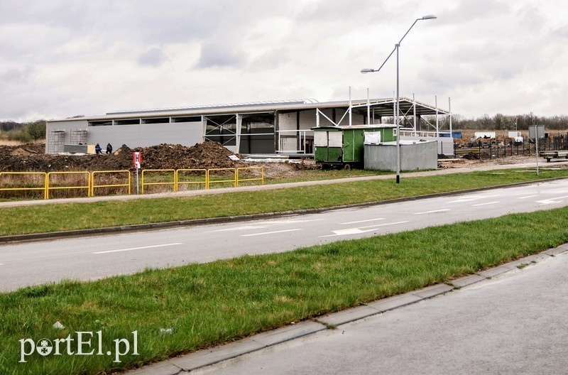 Elbląg, Modrzewina i hale produkcyjne Elbląg, Modrzewina i hale produkcyjne