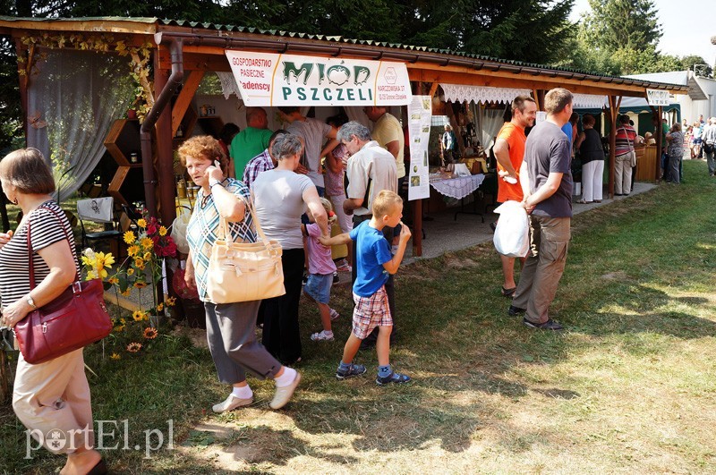 Elbląg, Amatorów miodu na targach nie brakuje