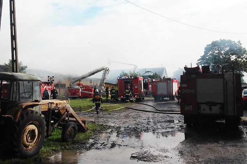 Elbląg, 40 strażaków gasiło pożar w Jeziorze