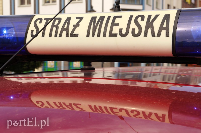 Elbląg, Likwidacja straży miejskiej jako przedmiot referendum gminnego (analiza) Elbląg, Likwidacja straży miejskiej jako przedmiot referendum gminnego (analiza)