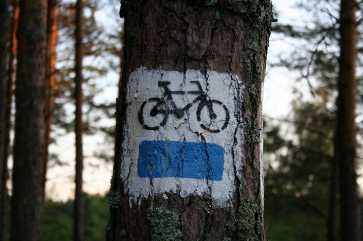 Elbląg, zdjęcie z konkursu Fotka miesiąca,