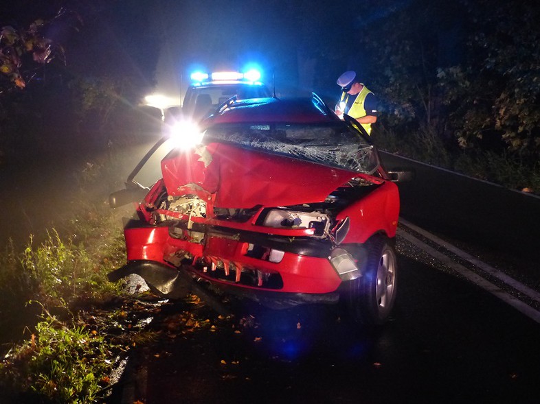 Elbląg, Pijany kierowca uderzył w drzewo Elbląg, Pijany kierowca uderzył w drzewo