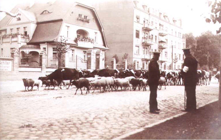 Elbląg, Willa Schillera, właściciela fabryki papy