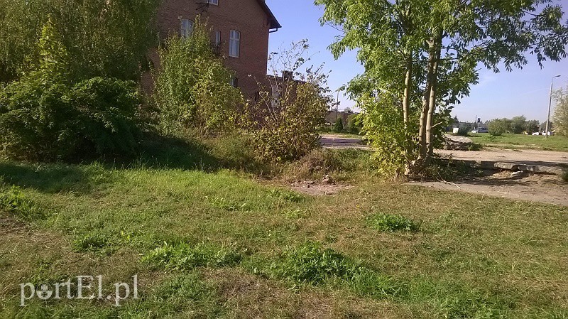 Teren nad rzeką został sprzątnięty