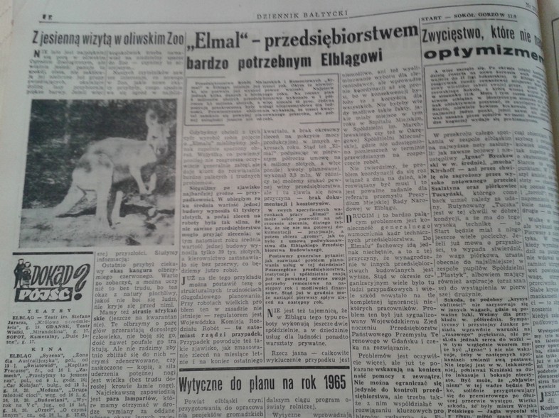 Elbląg, Z jesienną wizytą w oliwskim Zoo