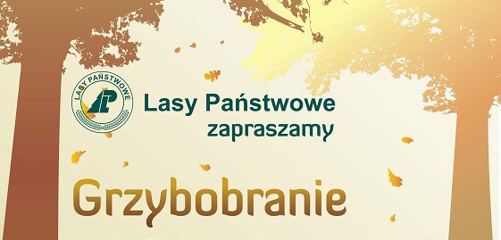 Elbląg, Grzybobranie z leśnikami