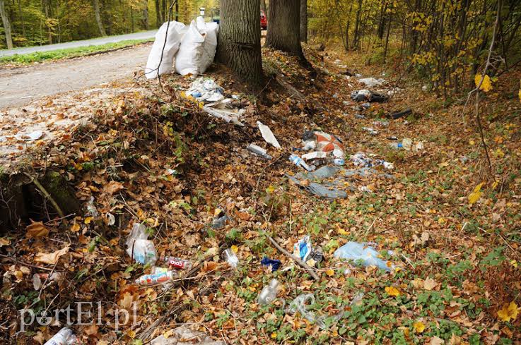 Elbląg, Tak jeszcze kilka dni temu wyglądała zatoczka pomiędzy Zastawnem a Pomorską Wsią Elbląg, Tak jeszcze kilka dni temu wyglądała zatoczka pomiędzy Zastawnem a Pomorską Wsią